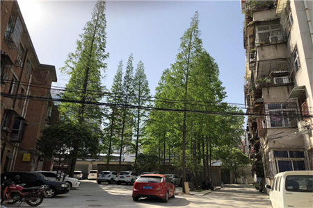 龙都龙苑尚城套二，科信.一中学区房，好楼层